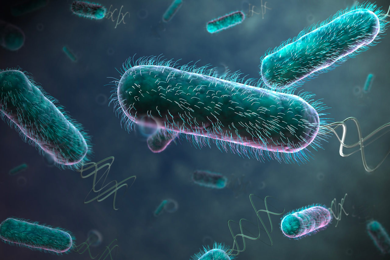 E. coli strain engineering • GENH