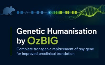 Webinar: Genetic Humanization by OzBIG